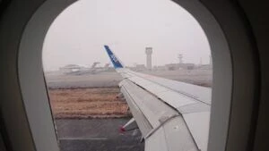 記事内画像