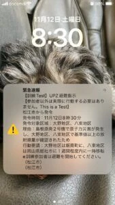 記事内画像